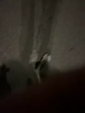 Snapshot of Pumxxxx chatting on 11/30/25, 04:16 Pumxxxx online show from 11/30/25, 04:16