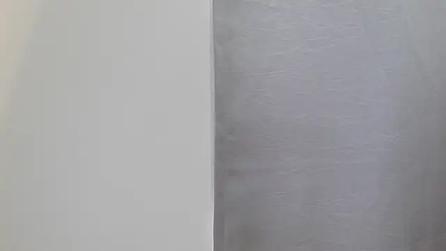 Camii 29 online show from 12/18/25, 04:24