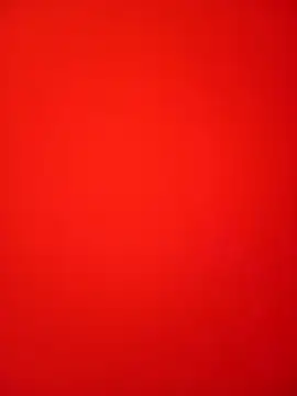 Bold Quinn online show from 02/12/26, 03:07