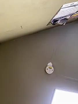 24denio online show from 03/07/26, 01:52