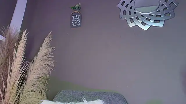 Snapshot of PauletteSanderss chatting on 01/13/26, 07:41 PauletteSanderss online show from 01/13/26, 07:41