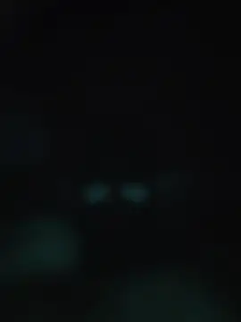 00x0x00 online show from 05/20/26, 03:13