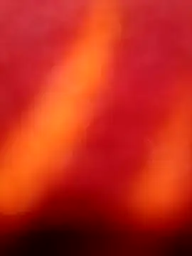 Nandani-758 online show from 05/03/26, 08:53