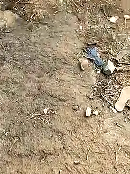 Meow buggie online show from 01/13/26, 10:42