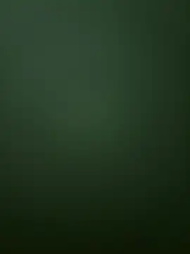 Snapshot of Spring-spring chatting on 12/01/25, 12:54 Spring-spring online show from 12/01/25, 12:54