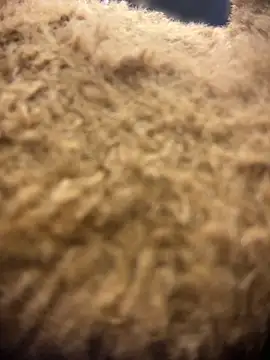 valeryfox   online show from 03/18/26, 10:57