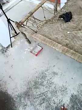 apka rockstarr online show from 11/27/25, 09:11