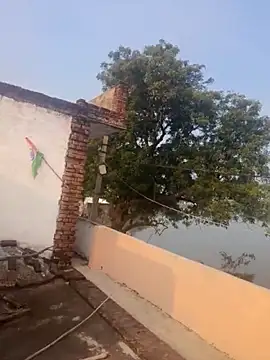 apka rockstarr online show from 12/01/25, 02:49