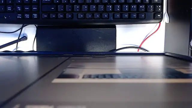 Snapshot of madisson_768 chatting on 02/24/26, 01:20 madisson 768 online show from 02/24/26, 01:20