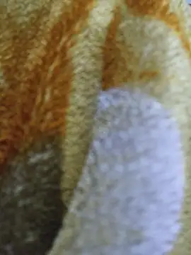 luckyutube online show from 12/21/25, 03:30