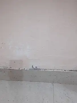 Alli8900 online show from 03/19/26, 04:11