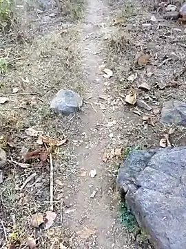 desi alpha boy online show from 01/16/26, 01:42