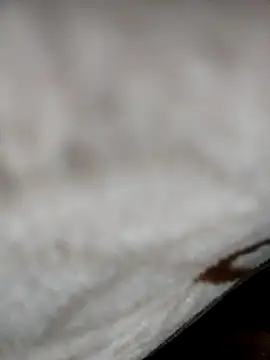 jiniya6789 online show from 01/05/26, 06:11