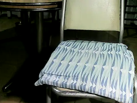 OreCam online show from 03/29/26, 02:33