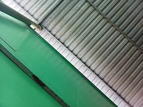 Lin-kute98 online show from 04/07/26, 12:55