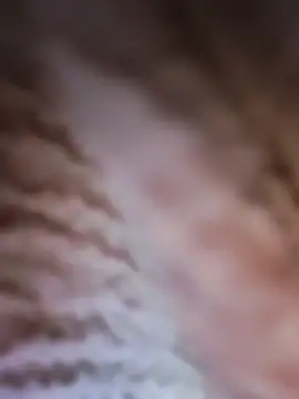 Punam panjabi online show from 02/28/26, 07:53