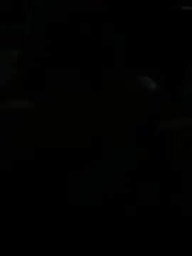 BigDick-A-Money online show from 04/28/26, 07:30