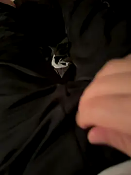 Laufla online show from 12/03/25, 10:52