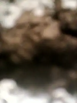 sexygosht online show from 04/18/26, 10:52