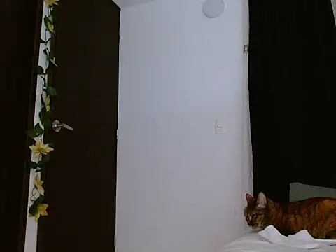 seductrixee online show from 01/12/26, 12:16