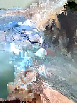 Harry254238 online show from 01/15/26, 05:38