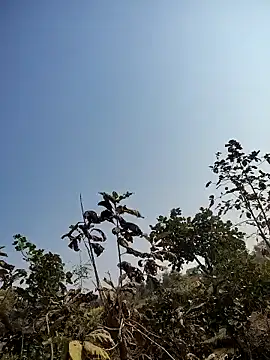 88zaifkhan88 online show from 01/14/26, 05:13