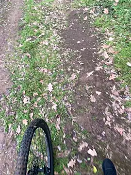 marconordic online show from 02/07/26, 02:21