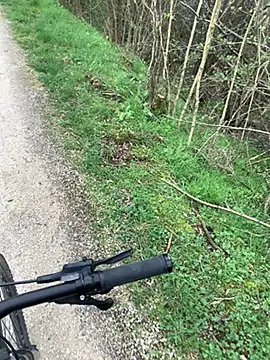 marconordic online show from 03/15/26, 01:17