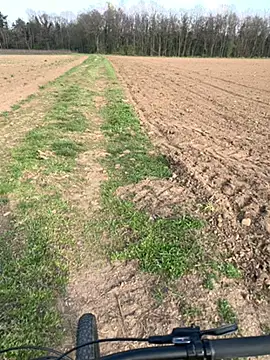 marconordic online show from 03/21/26, 03:04