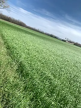 marconordic online show from 03/29/26, 01:11