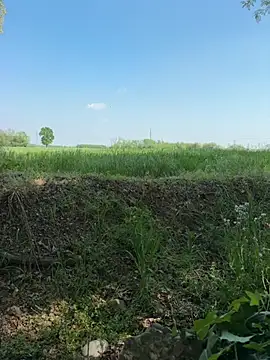 marconordic online show from 04/18/26, 01:26