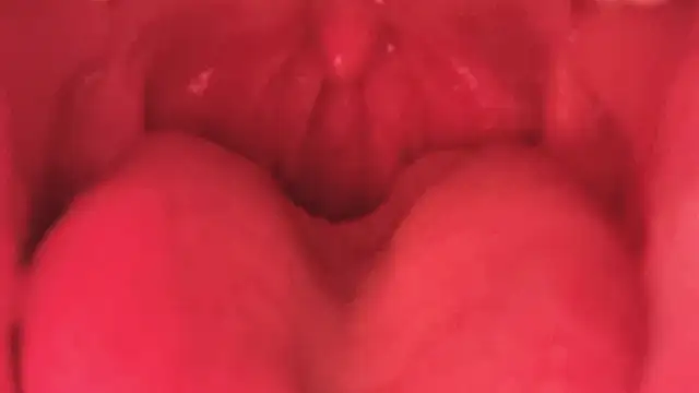 LT-333 online show from 01/11/26, 03:50