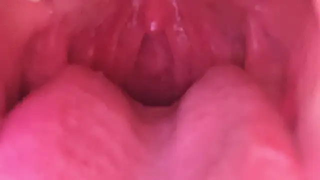 LT-333 online show from 01/18/26, 07:23