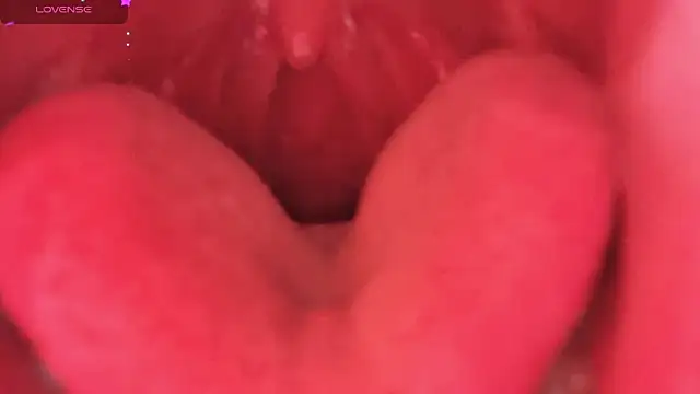 LT-333 online show from 02/06/26, 08:34