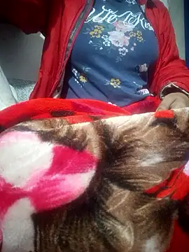 SassyDiy online show from 01/13/26, 11:59