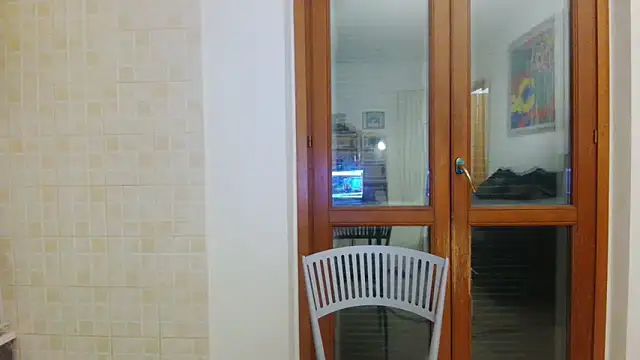 AMIRDIB2025 online show from 04/29/26, 02:48