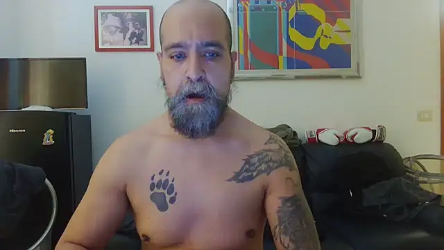 AMIRDIB2025 online show from 06/15/26, 01:57