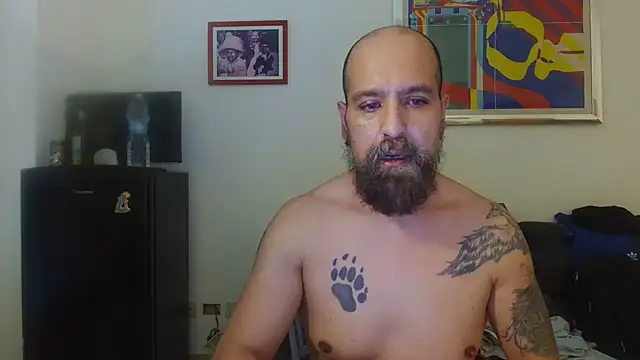 AMIRDIB2025 online show from 07/08/26, 05:39