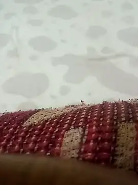 HKOOOH80 online show from 03/19/26, 09:41