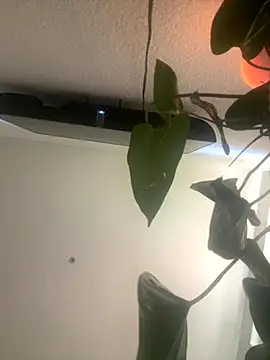 redheadangel 5 online show from 11/29/25, 10:35