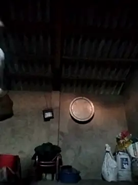 LeoPet2x online show from 12/15/25, 09:46