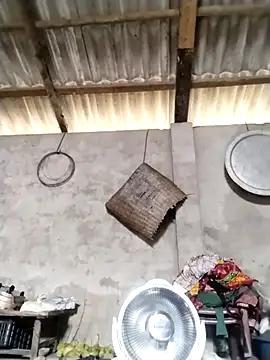 LeoPet2x online show from 03/16/26, 05:44