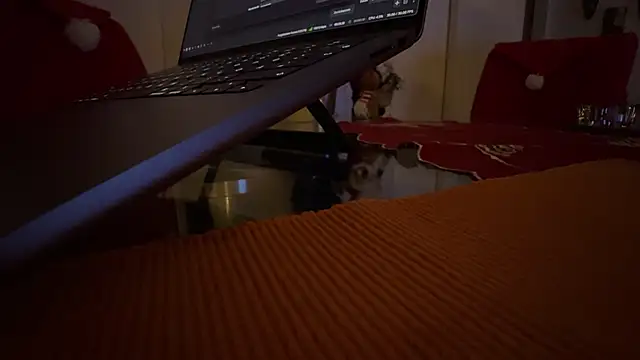 AndyLD20x6 online show from 12/03/25, 11:14