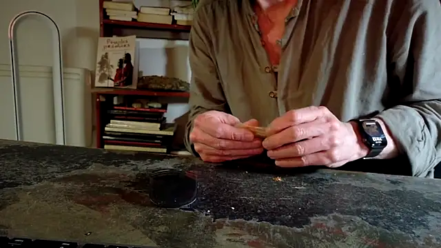 Snapshot of diogene11 chatting on 11/29/25, 10:13 diogene11 online show from 11/29/25, 10:13