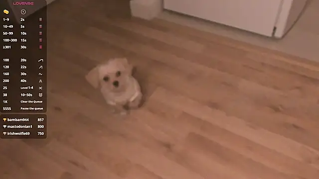 MePretty online show from 03/23/25, 12:58