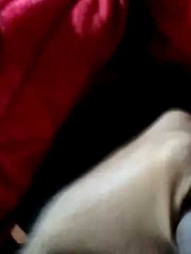 mast boy online show from 12/14/25, 08:52