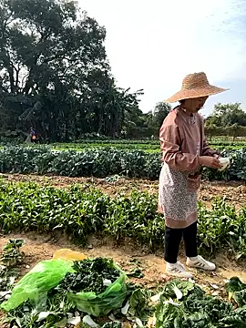 A-ZJunn online show from 01/12/26, 06:18