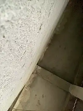 Lilik2 online show from 01/15/26, 08:08