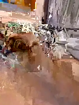 en93000 online show from 04/07/26, 05:41