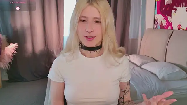 error occurred  online show from 04/10/26, 12:32